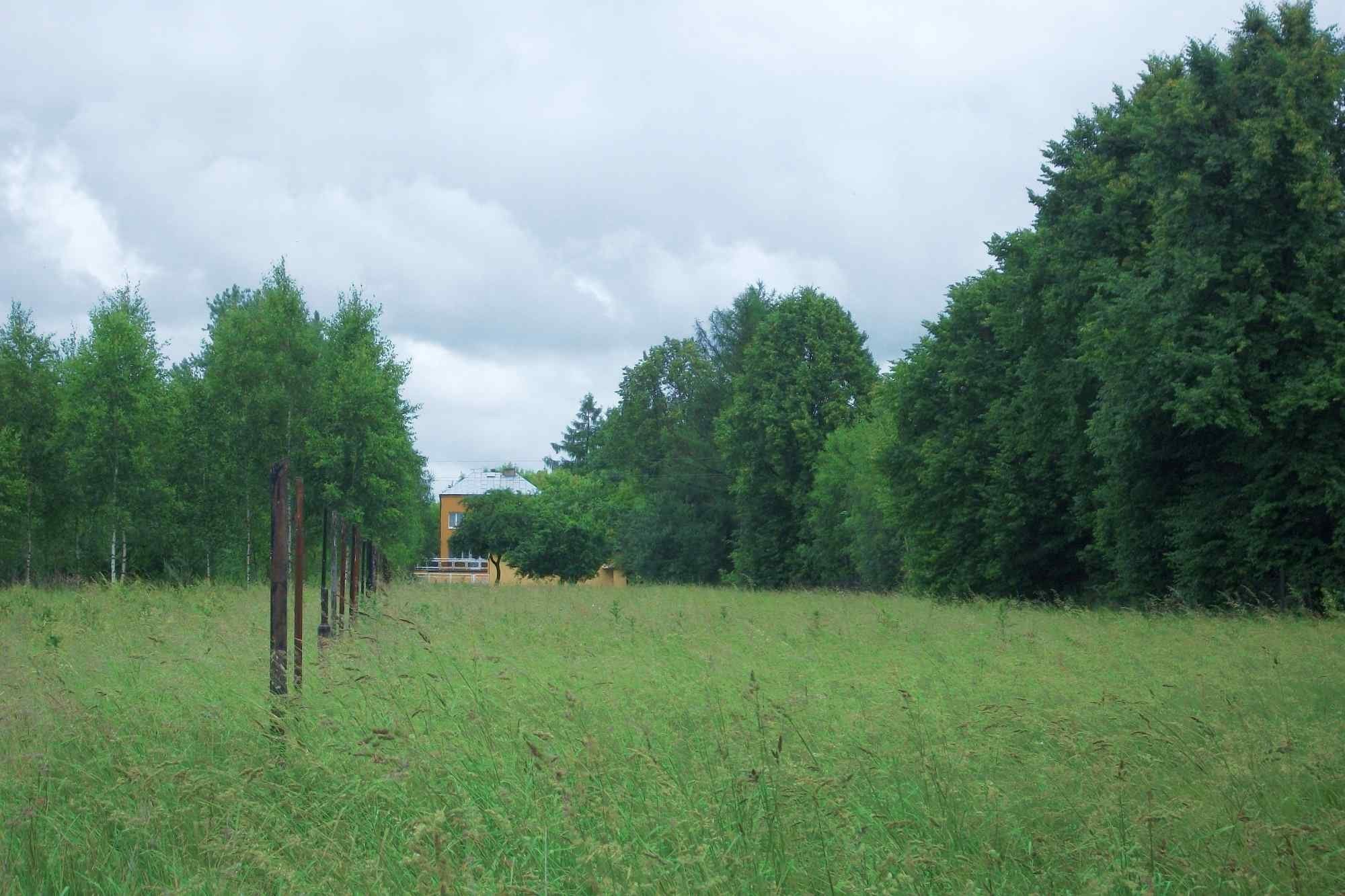 Sprzedam atrakcyjne gosp. rolne, 1ha, NATURA 2000 — zdjęcie 5
