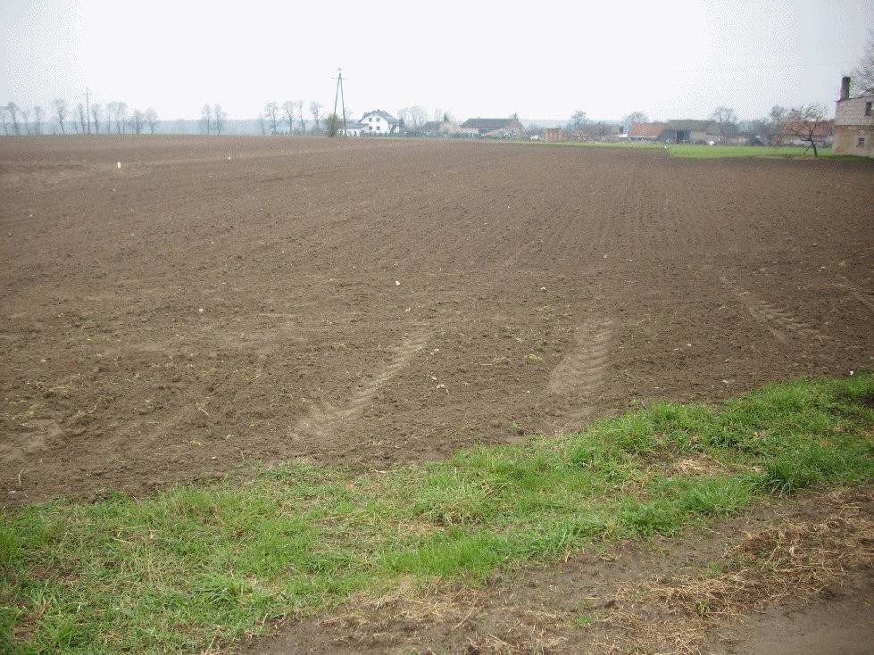 działka rolno-budowlana — zdjęcie 1