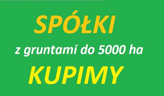  Grunty - Spółki Kupimy 