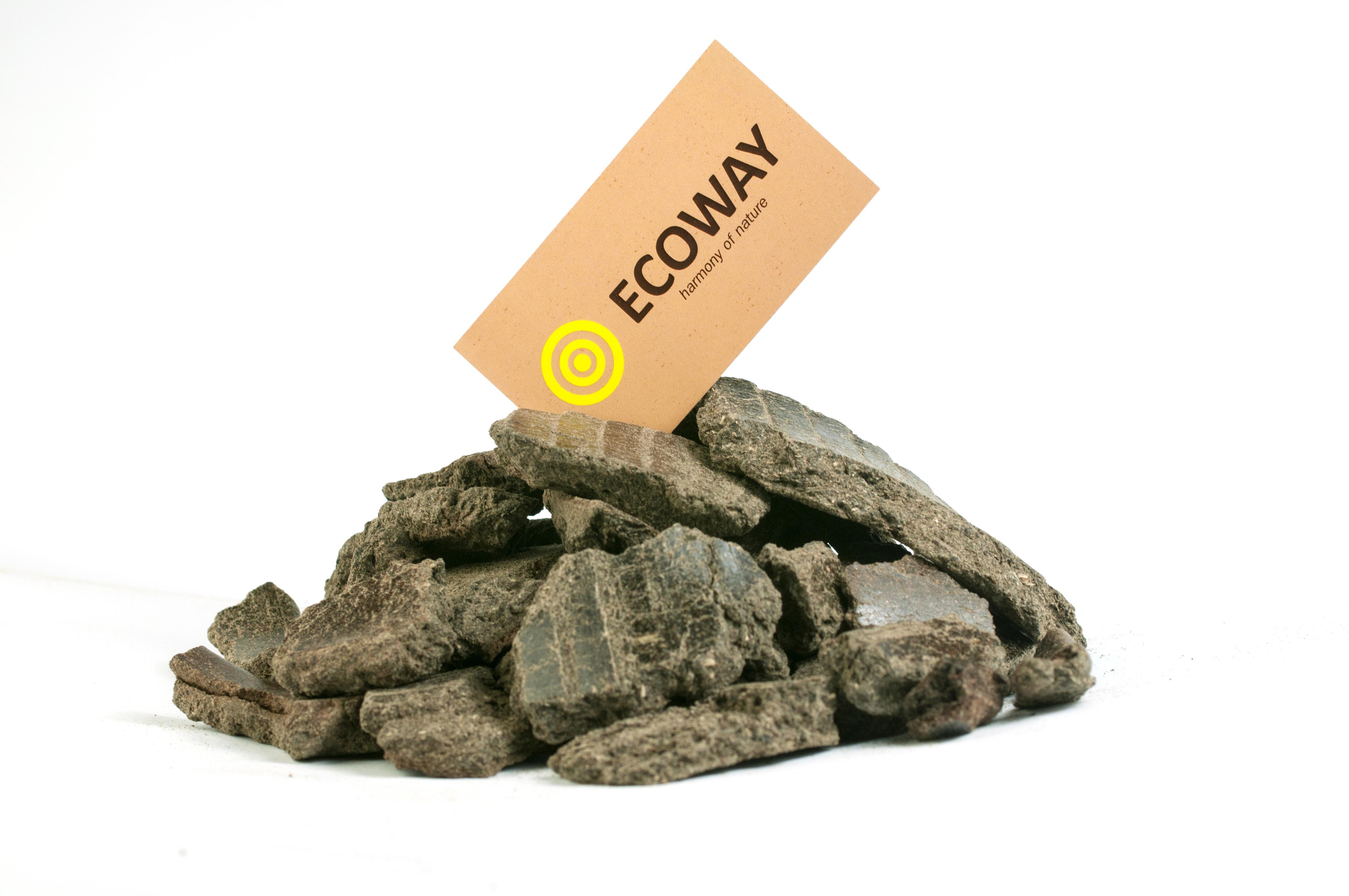 Makuch słonecznikowy