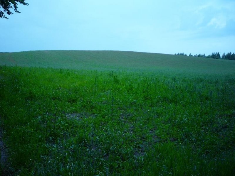 Działka w pomorskim — zdjęcie 2