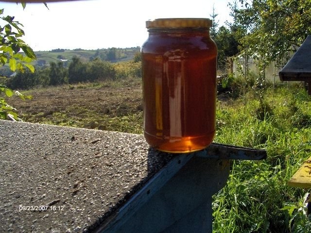 Miód nektarowo-spadziowy 1000 słoików 0,9l.