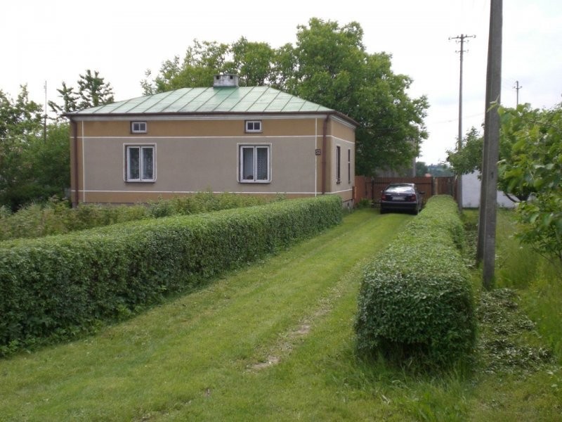 gospodarstwo rolne/siedlisko — zdjęcie 4