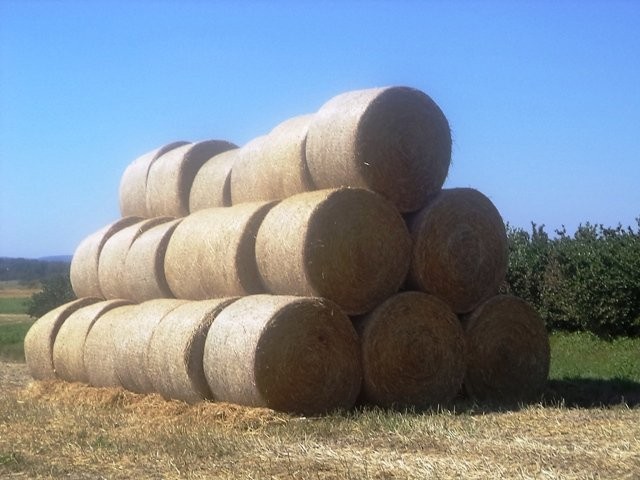 słoma w belach