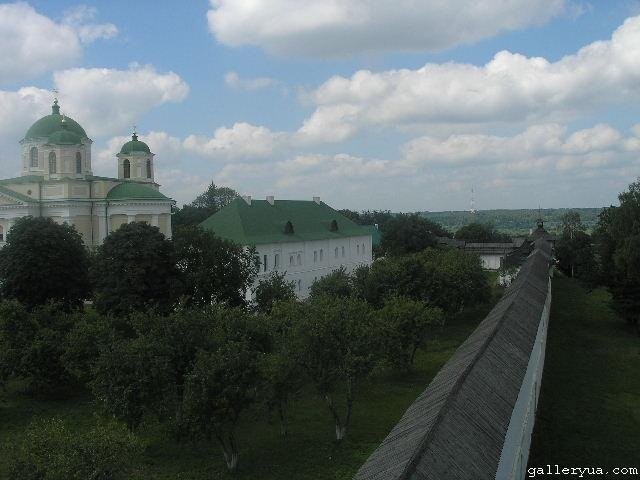 Ukraina,Pushkari. Stajnia koni. Na sprzedaz.Tanio — zdjęcie 4