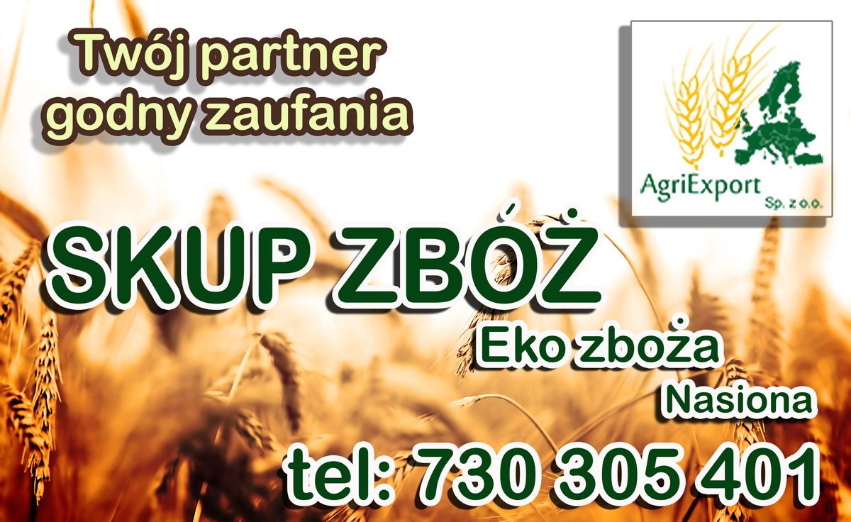 Skup zbóż paszowych oraz konsumpcyjnych  — zdjęcie 1