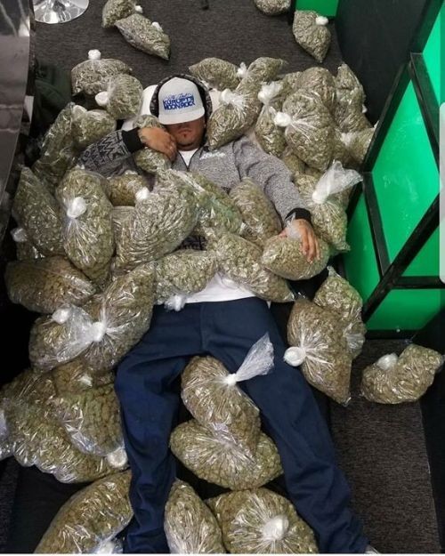TOP MEDICAL MARIJUANA STRAINS /CLONE /WAX/ HASH OIL /PAIN KILLER 