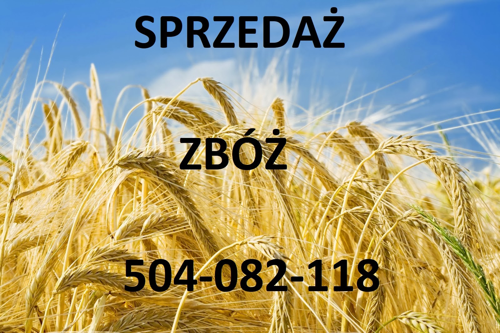 Sprzedam len, siemię i inne surowce naturalne