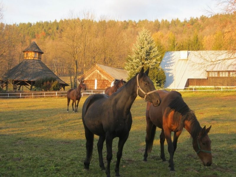 BIESZCZADY Piękna posiadłość Rabe — zdjęcie 4