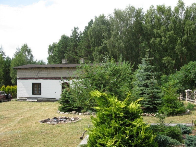 Siedlisko 0,5 ha w lesie warmińsko mazurskie — zdjęcie 3