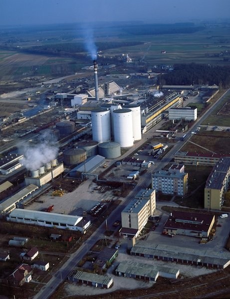 Wydzierżawię LIMIT buraczany 200 ton KSC