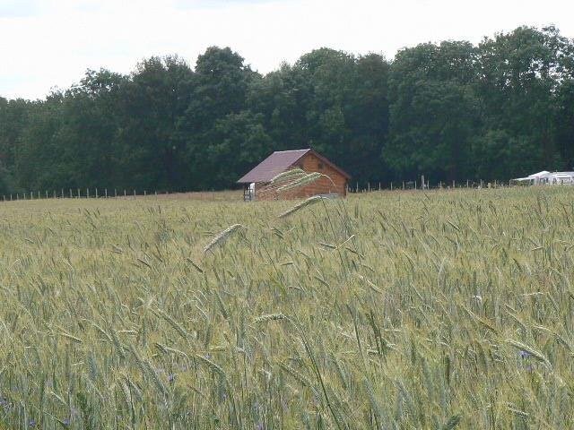 SZCZECIN - 90 km (Chwarstno) 25,9 ha ! - TANIO ! — zdjęcie 5