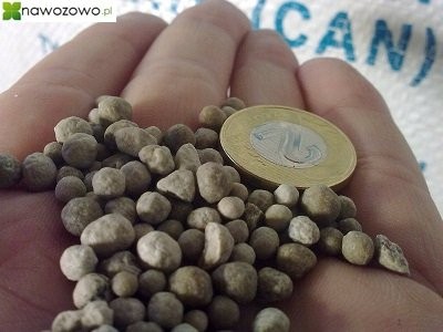 Saletrzak 27% +3Mg + 6Ca NAJTANIEJ od importera