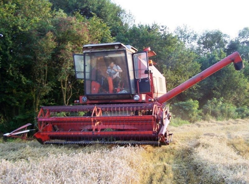 bizon rekord ZO58 — zdjęcie 5