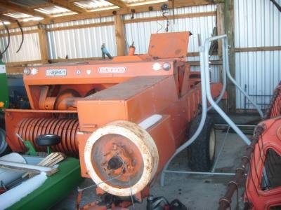 sprzedam prase z 224/1