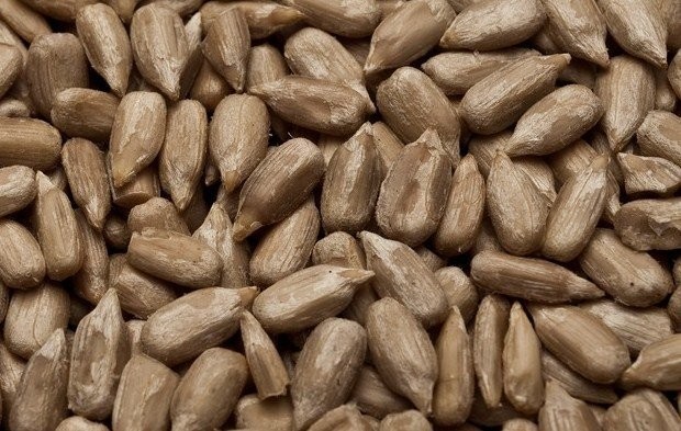 Sunflower Kernels - Bakery Type