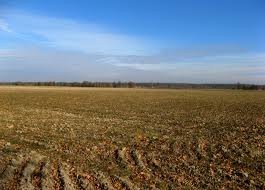 Grunty Rolne 8,4 ha Lubuskie okolice Kożuchowa