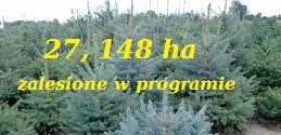 27, 148 ha zalesione w programie do 2025 roku sprzedam