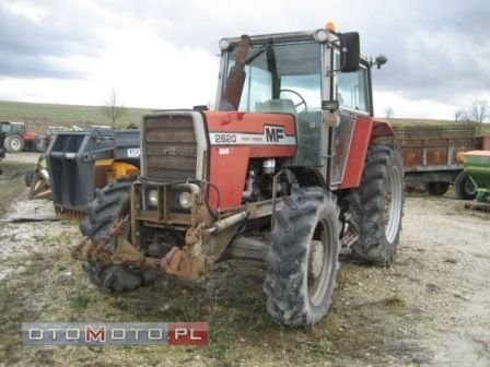 Massey Ferguson 2620 1981r — zdjęcie 1
