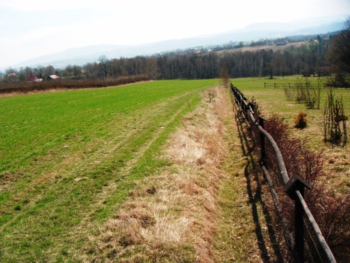 Działka budowlano-rolna 29 km od Krakowa z widokiem na góry — zdjęcie 2