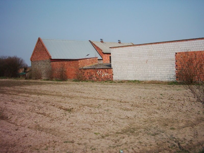 Gospodarstwo Rolne koło Kościana — zdjęcie 1