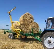 Ukraina.Grunty rolne.Biomasa zbozowa,rzepakowa itp — zdjęcie 5