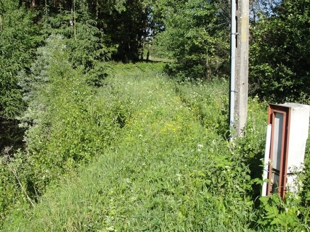 ROKITNO~ DZIAŁKA BUDOWLANO-REKREACYJNA — zdjęcie 5