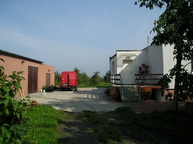 sad 4,5 HA + przetworstwo Poznan — zdjęcie 1