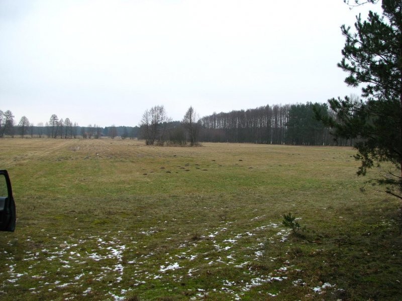 sprzedam łąke 90ar z lasem 60ar POD BUDOWE LUB ZAL — zdjęcie 1