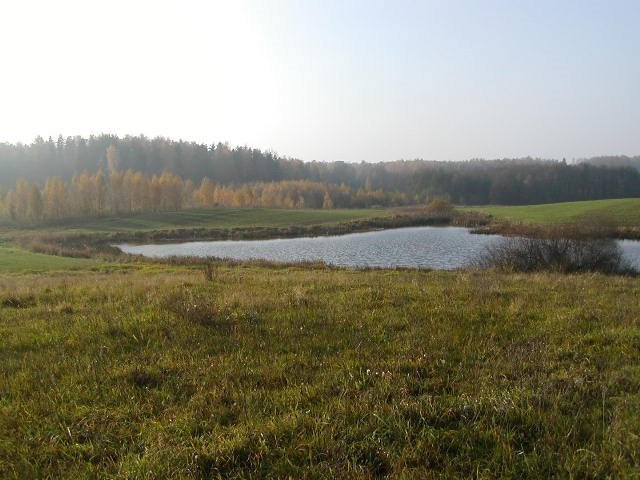 Mazury -10ha ze stawem przy lesie — zdjęcie 5