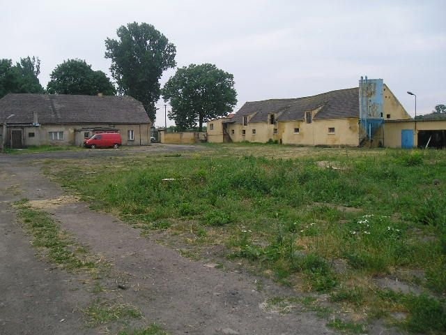 ferma drobiu Kostrzyn Wlkp — zdjęcie 2
