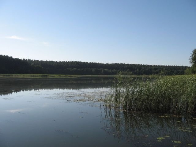 domek nad jeziorem