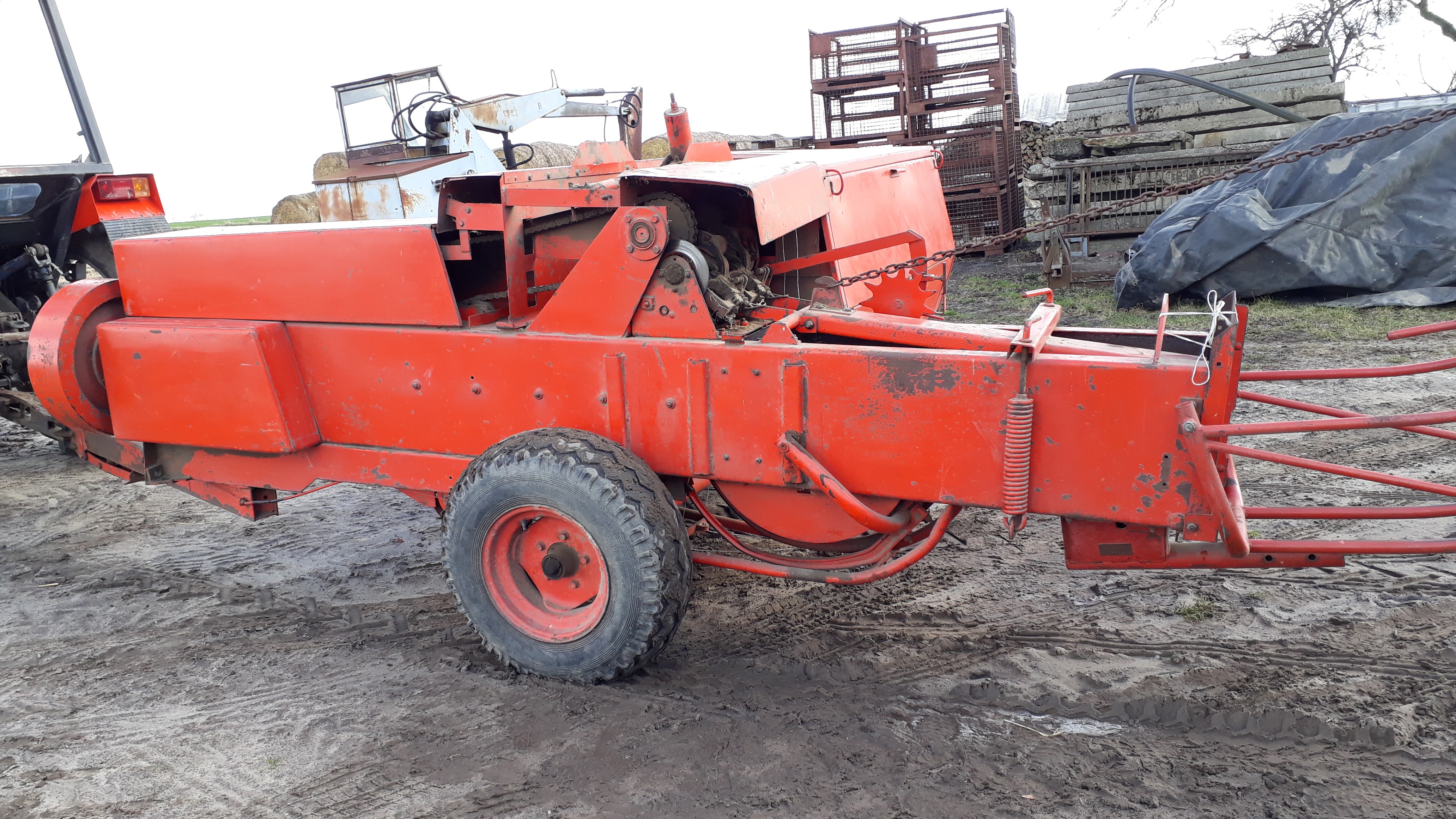 Sprzedam prase Z-224 — zdjęcie 4