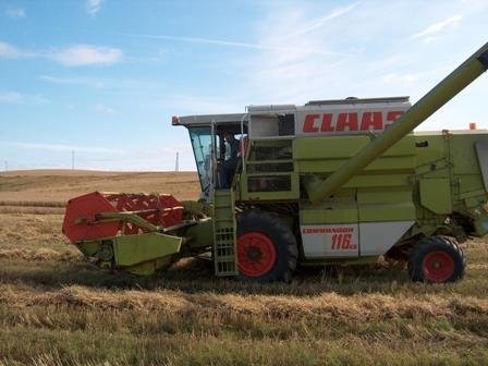Kombajn zbożowy Claas Comandor 116 CS — zdjęcie 1