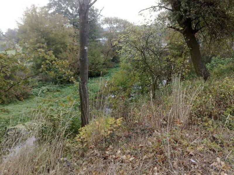 Działka- Kleszewo — zdjęcie 1