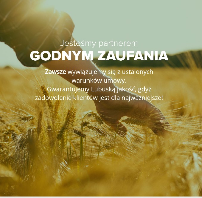 Skup zbóż cała Polska, krótkie terminy płatnosci !!! — zdjęcie 2