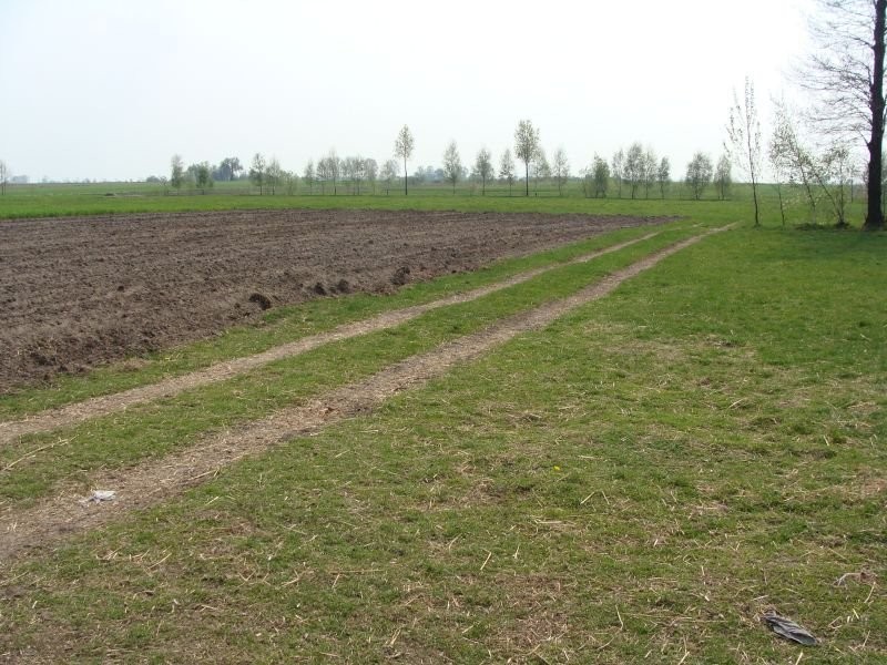 Gospodarstwo rolne - Krokocice — zdjęcie 6
