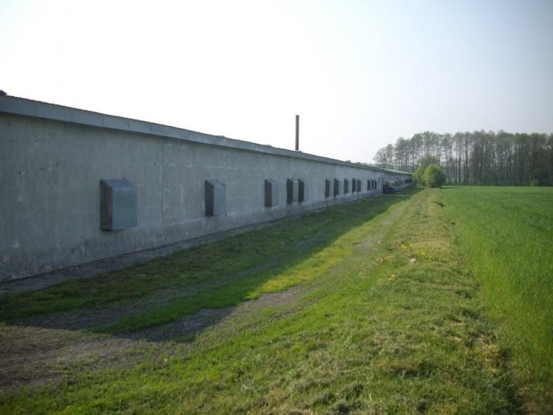 2 Fermy Drobiu — zdjęcie 5