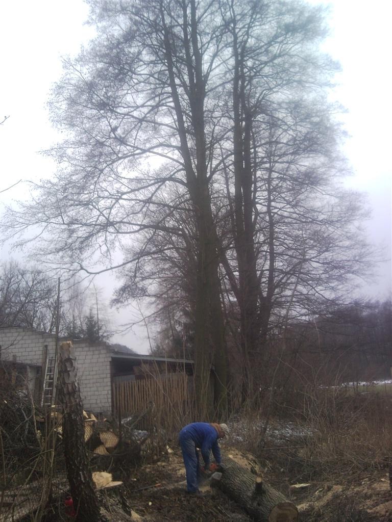 Wycinka drzew ŁÓDŹ porządkowanie terenu, karczowanie zarośli Łódź — zdjęcie 2