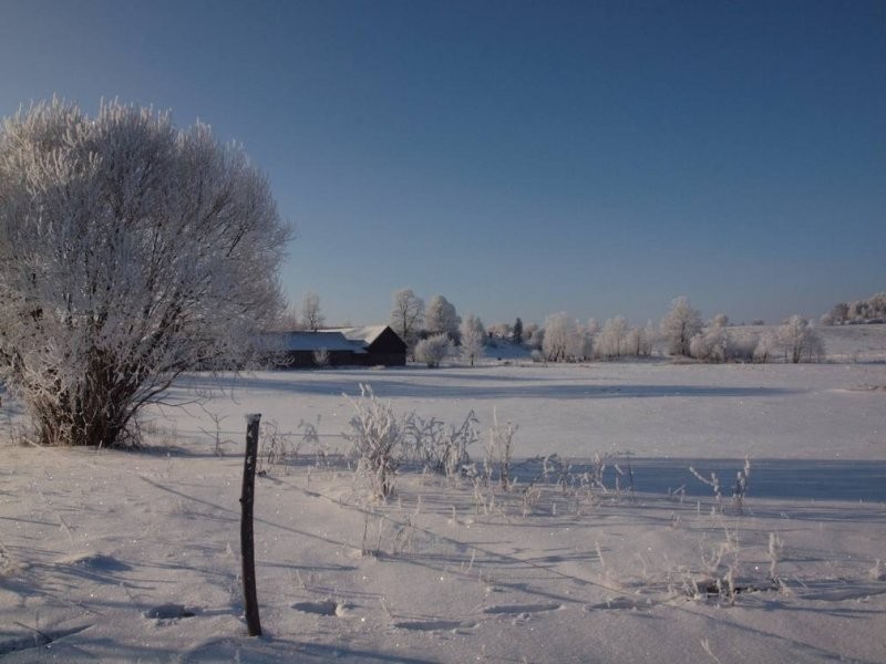 Idealne działki budowlane, Mazury!!! — zdjęcie 2