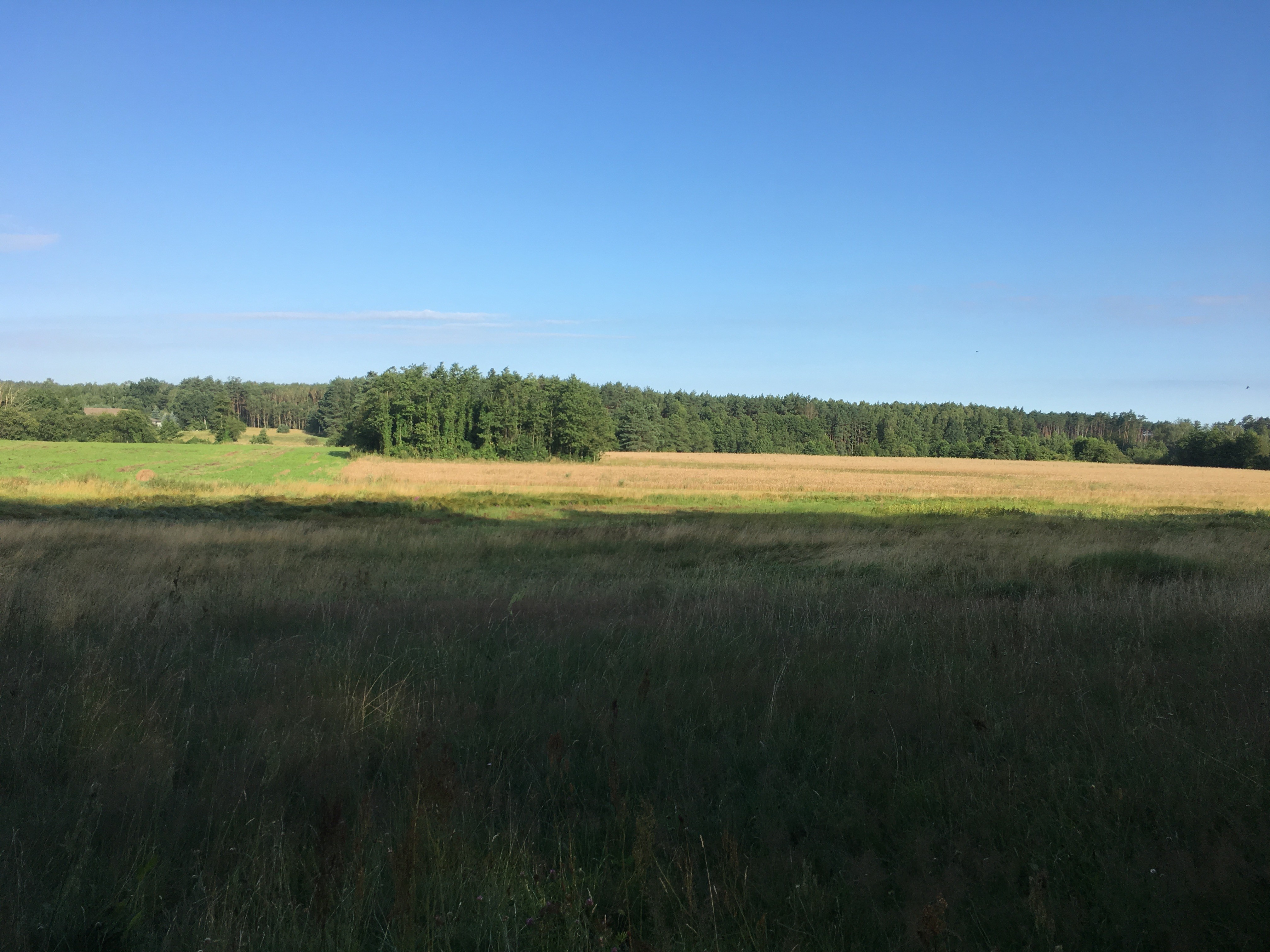 Oddam w dzierżawę  grunty rolne, Tarnówka, powiat Złotów, 29 ha — zdjęcie 1