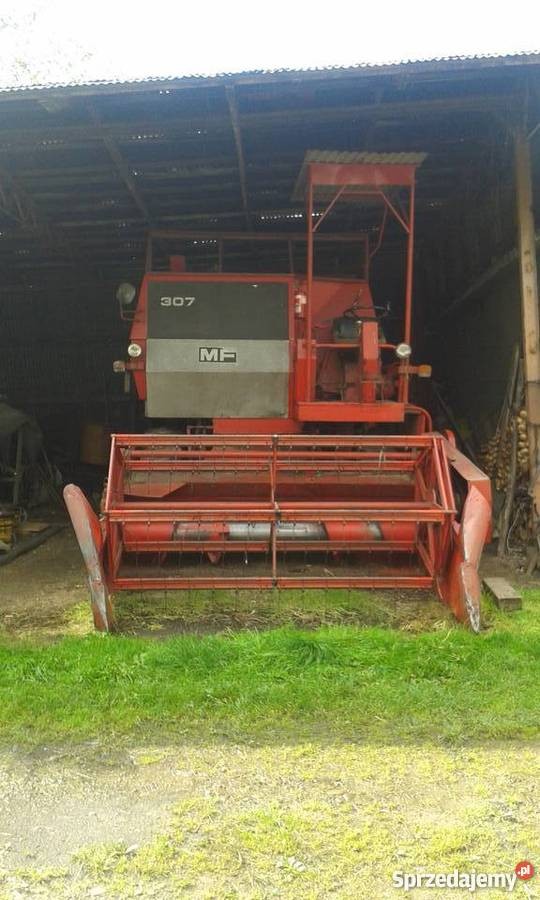 Okazja! Kombajn zbożowy Massey Ferguson sprzedaż lub zamiana — zdjęcie 1