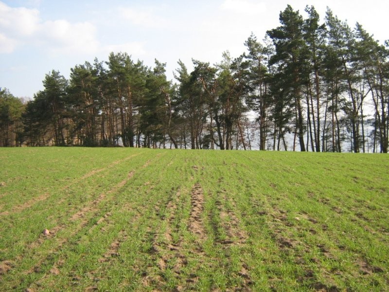 Działka rekreacyjna nad jeziorem Wałpusz Mazury — zdjęcie 1