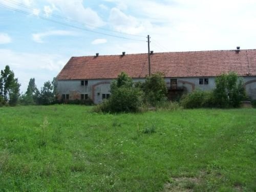 Uzbrojona dzialka 0,60ha z budynkiem w cenie L-ca — zdjęcie 2