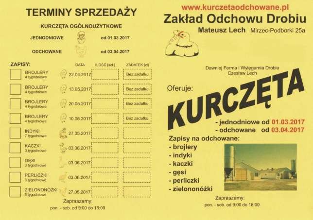 Kurczęta odchowane kury kokoszki Świętokrzyskie Starachowice Mirzec  — zdjęcie 3