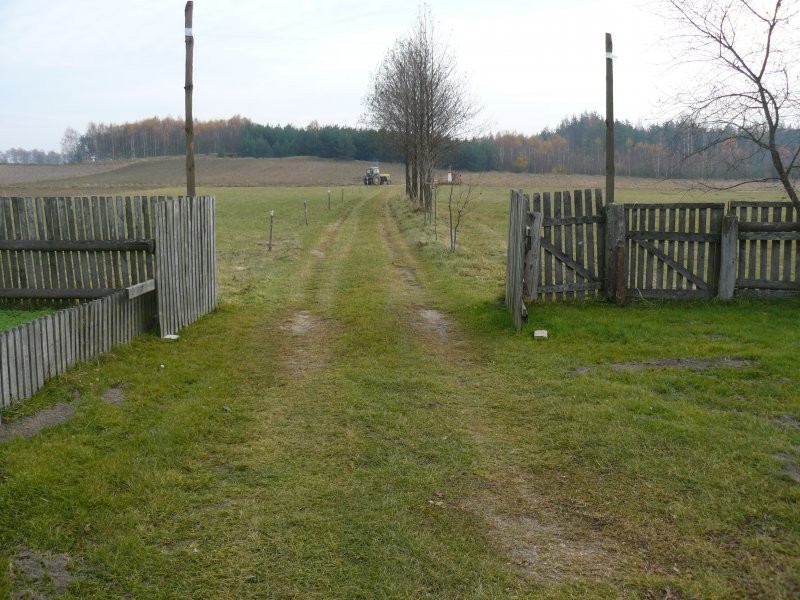 Sprzedam gospodarstwo rolne(siedlisko) 11ha ziemi — zdjęcie 1