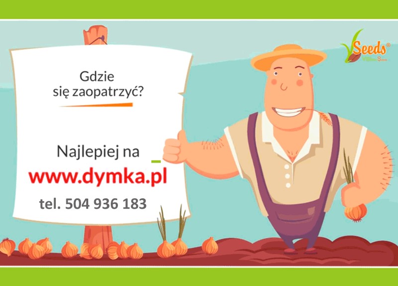 Cebula Dymka 24 odmiany gwarantowana jakość i fachowa obsługa — zdjęcie 2