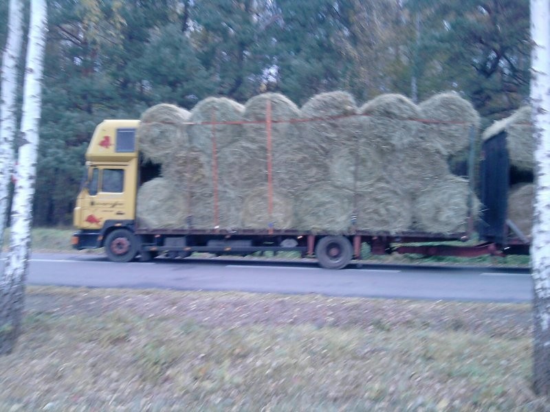transport bel ( słoma , siano ) — zdjęcie 1