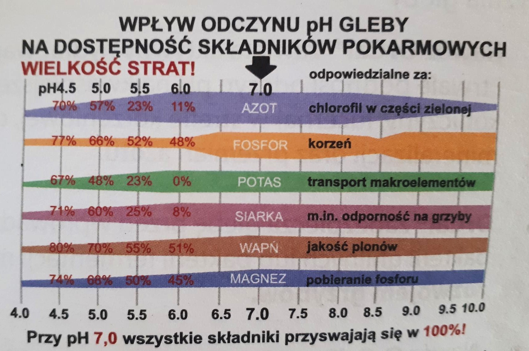 Wapno Max CALC, nawóz wapniowo organiczny II generacji plus organika — zdjęcie 7