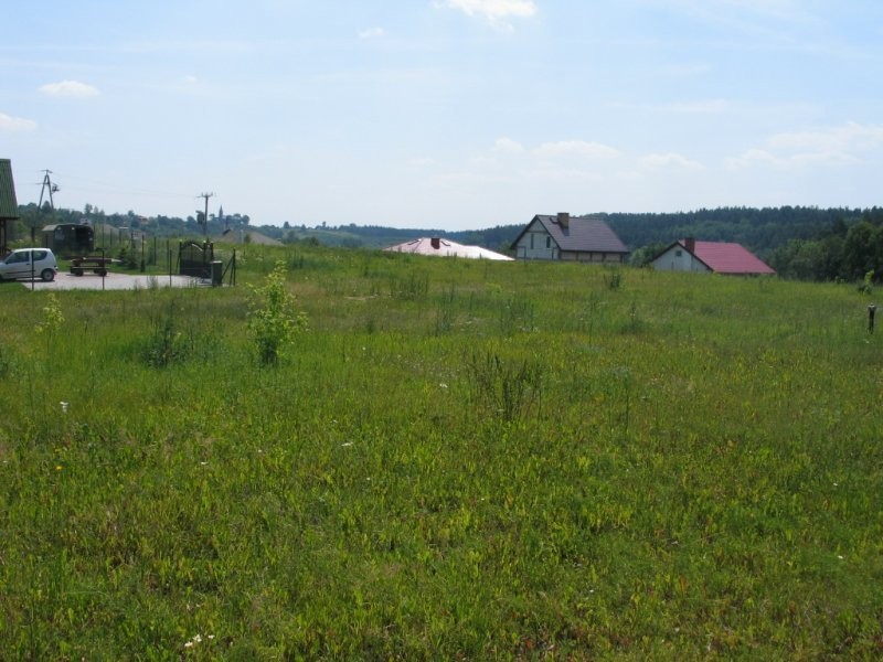 Działkę sprzedam Nowogród, kuj-pom, nad j. Grodno — zdjęcie 2